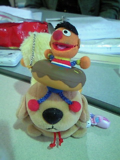 �׋����Ă����͂��Ȃ̂ɇB