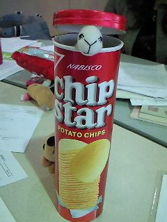 �׋����Ă����͂��Ȃ̂ɇD