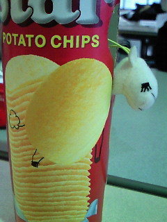 �׋����Ă����͂��Ȃ̂ɇE