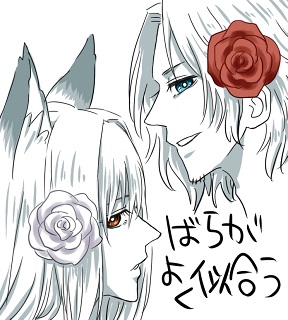 WEB����Ԏ�