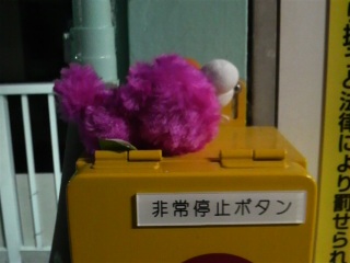 �����A�肽���A