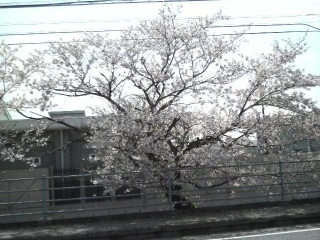 ���[���[��[