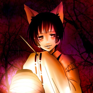 WEB����Ԏ�