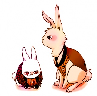 �N����挋�ʔ��\