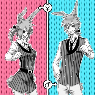 �G�D�F���蔠����