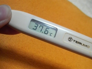 ��[�_(^q^)�^