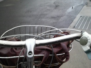 �m���Ă邩�c