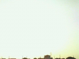 �����̋�B