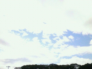 �����̋�B