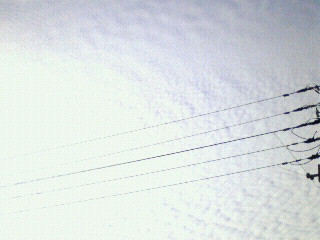 ����̋�A