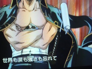 �A�j���⍰�C