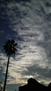 �����̋�