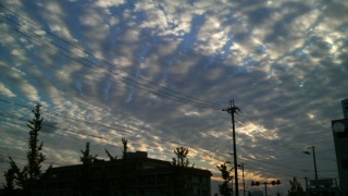 �����̋�A