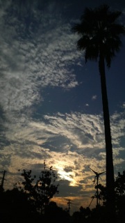 �����̋�