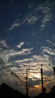 �����̋�A