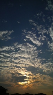 �����̋�B