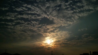 �����̋�E