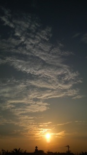 �����̋�F