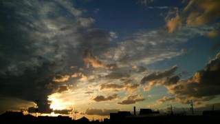 �����̋�B