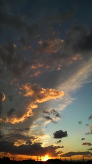 �����̋�H