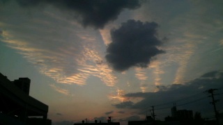 �����̋�