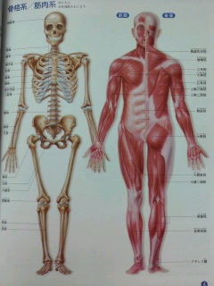 �׋��s�̂́t