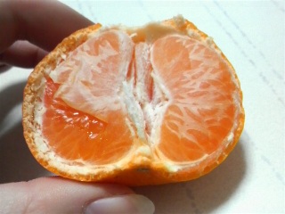 ���������G��