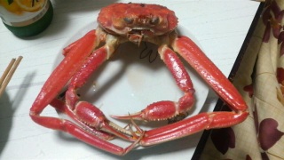 �J�b�j�J�j