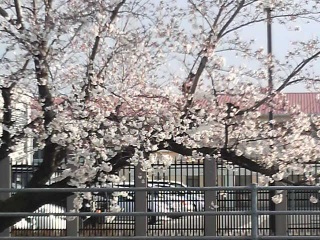 �t���˂��`