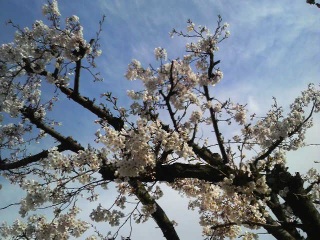 �t���˂��`�A